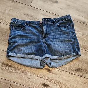LC Lauren Conrad Blue Jean Shorts